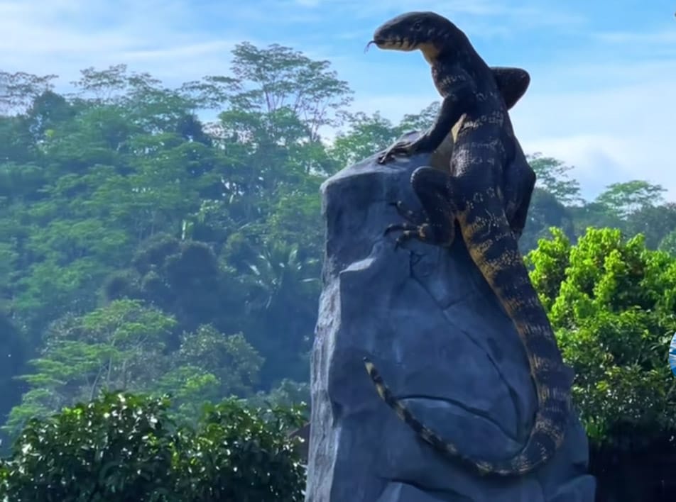 Patung Biawak Wonosobo yang Viral Ternyata Hanya Habiskan Dana Sekitar Rp 50 Juta, Kok Bisa?