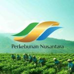 S.id Luncurkan Fitur Shop untuk Toko Digital Creator Indonesia