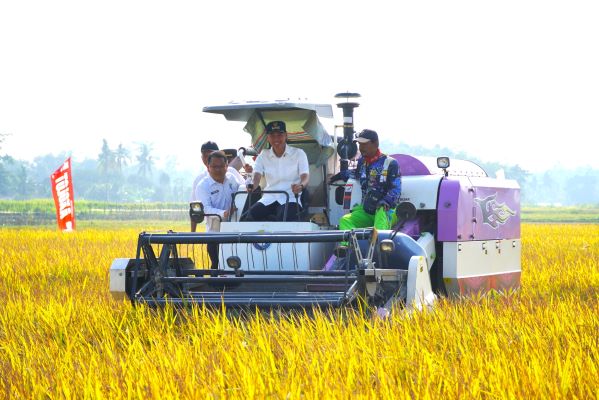 Program Optimalisasi Lahan Sawah.