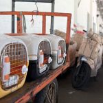 KAI Logistik Catat Pertumbuhan Positif Layanan Kurir KALOG Express Sepanjang 2025