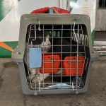 Maksimalkan Potensi Pertumbuhan Aset Kripto dengan Bittime Fleksibel Staking