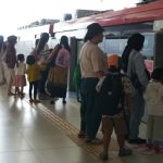 Jangan Panik, Ini Langkah Awal Saat Mata Kucing Mulai Bermasalah