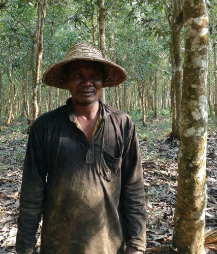 Ilustrasi petani sedang berada di kebun karet.