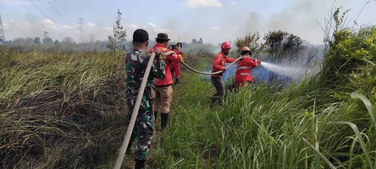 Kebakaran hutan dan lahan (karhutla) kembali terjadi di wilayah Kabupaten Ogan Ilir.