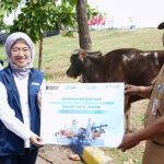 Harga Minyak Berpotensi Naik, Saham Energi Jadi Sorotan Investor Global