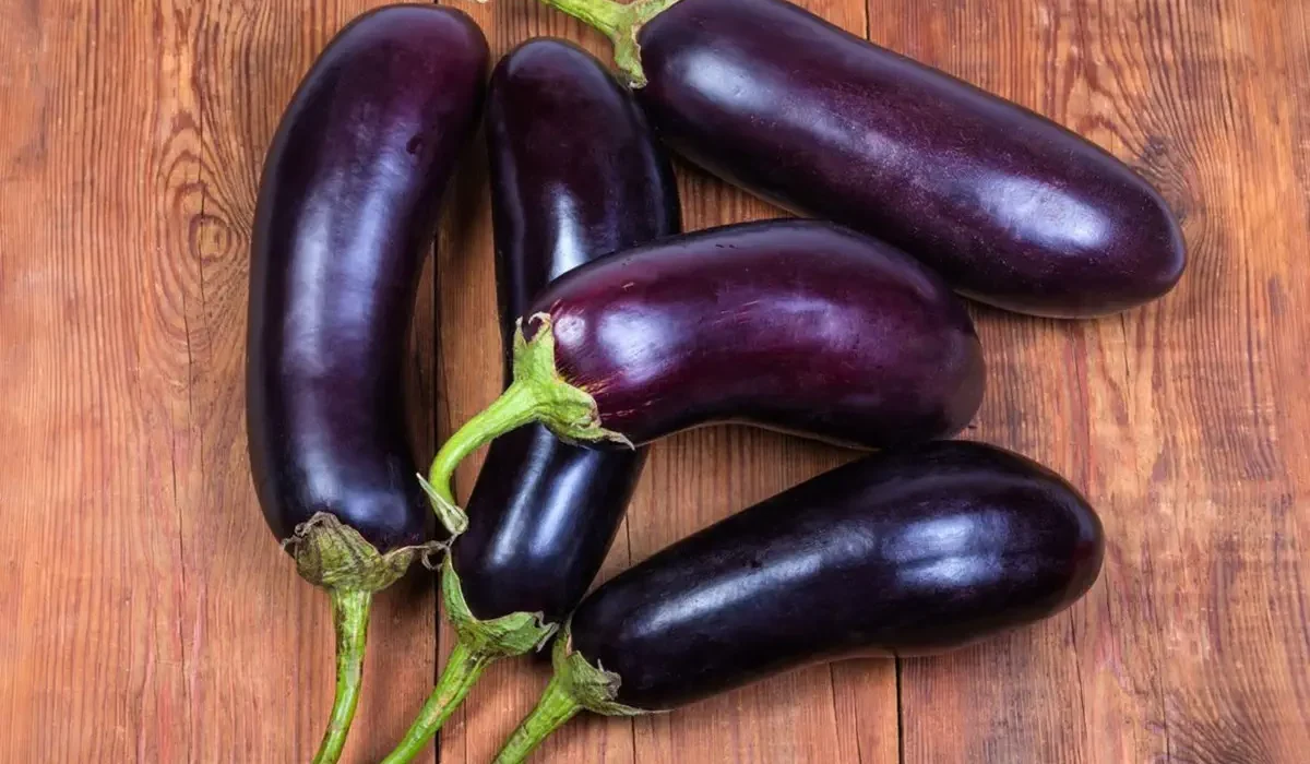 Mitos atau Fakta: Benarkah Makan Terong Bisa Membuat Pria Lemas? Ini Penjelasan Medis