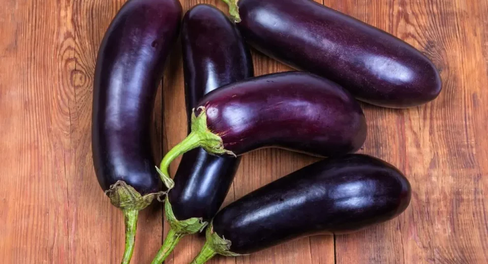 Mitos atau Fakta: Benarkah Makan Terong Bisa Membuat Pria Lemas? Ini Penjelasan Medis