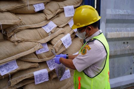 Kopi Liberika asal Sumatera Selatan.